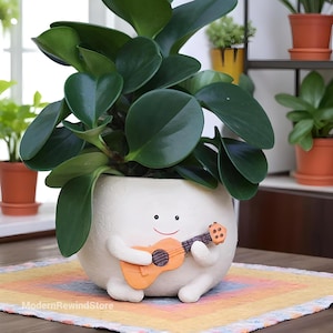 Smiley Face Succulent Planter: Whimsical Resin Indoor/Outdoor Pot