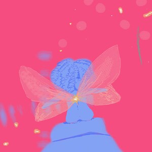 ART.FLY