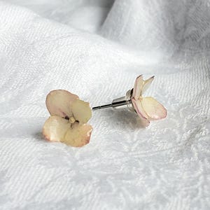 Könnte beinhalten: Ein einzelner Ohrstecker mit einer hellrosa und cremefarbenen Blume. Der Ohrringstift ist silberfarben. Der Ohrring befindet sich vor einem weißen, strukturierten Hintergrund.