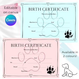 Puppy Birth Certificate Template,Editable Pink Blue Paw Print Cert, New Puppy Dog Printable Adoption cert, Digital Download E-invite, Canva