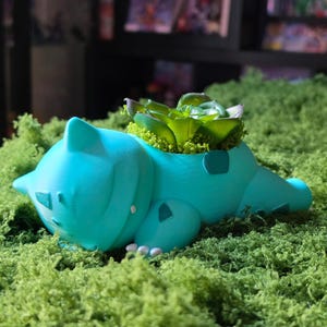Custom Pokémon Planter Pot: Bulbasaur, Oddish, Chikorita & More | 3D Printed Hand-Painted