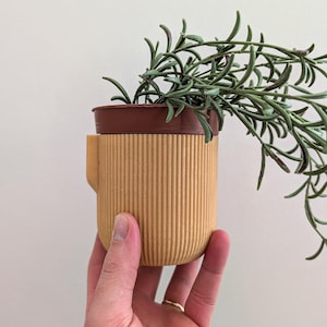 May include: A small, light brown planter with a ribbed texture and a brown rim. The planter has a handle on the side and is holding a green plant with long, thin leaves.