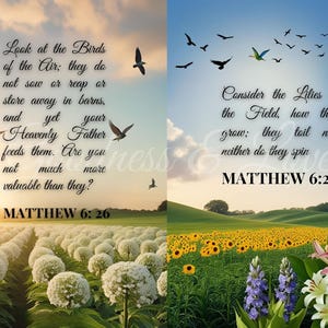Nature-Inspired Scripture Wall Art – Look at the Birds & Consider the Lilies, 2-Piece Bible Verse Print Set, Christian Digital Download