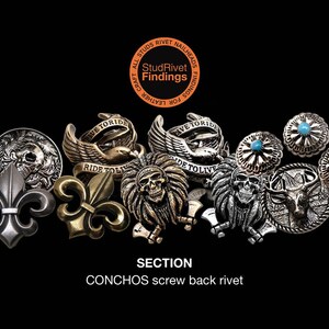 Puede incluir: Una colecci&oacute;n de conchos y remaches met&aacute;licos con varios dise&ntilde;os, incluyendo calaveras, flor de lis y detalles turquesa. La imagen muestra el texto "StudRivet Findings" y "CONCHOS screw back rivet."