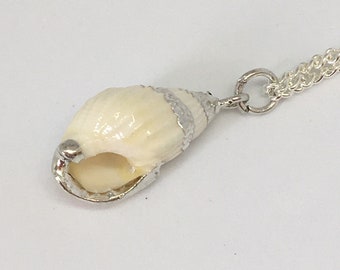 Shell Necklace, Silver Plated, Conch Shell Pendant with Fine Silver Coloured Chain