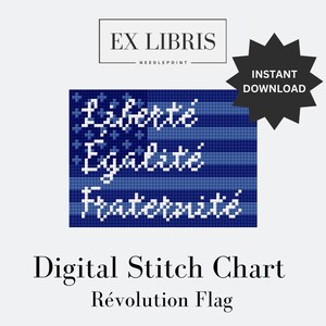 Puede incluir: Gráfico de punto de cruz digital que presenta una bandera de la Revolución Francesa azul y blanca con las palabras "Liberté, Egalité, Fraternité" en blanco.