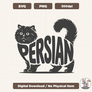 Perzische kat SVG PNG, kattenrassen, schattige pluizige kat vector, Perzische kat sublimatie ontwerp, Cricut silhouet snijden bestand, kattenliefhebber
