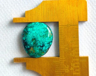 Hubei Turquoise Cab 15x16 MM 10 Crt, Natural Turquoise.