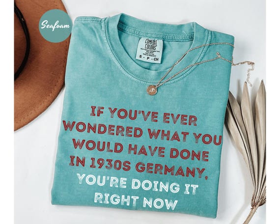 Comfort Colors® If You've Ever Wondered What You Would Have Done in 1930s Germany Shirt, Anti-Trump T-Shirt, Democracy Liberal Tee Shirts