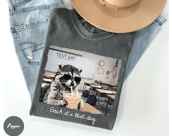 Comfort Colors Raccoon T-Shirt, It's Test Day, Teacher Motivation Tee, Final Exam Week Teacher Team T-Shirt