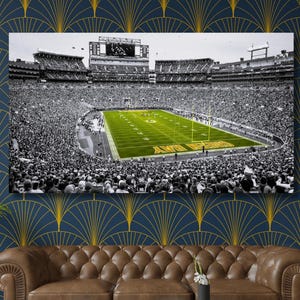 Lambeau Field Canvas Wall Art: Green Bay Packers Football Decor