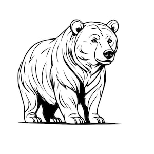 Bear Silhouette SVG - Animal Vector for Cricut & Silhouette