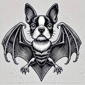 Puede incluir: Ilustración en blanco y negro de un Boston Terrier con alas de murciélago. El perro mira directamente al espectador con una expresión seria.