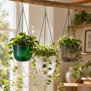 May include: Three hanging planters suspended by black metal chains from a wooden rod. Each round, ribbed glass pot holds a trailing green pothos plant. The planters are coloured in translucent emerald green, clear glass, and smoky grey glass.