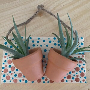 May include: A wooden hanging planter with two terracotta pots, each holding a green air plant. The wooden board is decorated with blue and orange polka dots, and a natural rope is used for hanging.