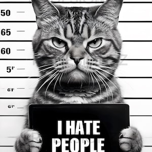 Stern Tabby Cat Mugshot SVG \| Funny \&\#39;I Hate People\&\#39; Cat Meme \| Sublimation PNG for T-Shirts, Mugs & More \| Grumpy Cat Digital Download