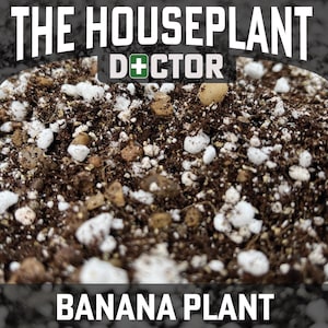 Palm Tree Potting Soil - Etsy UK