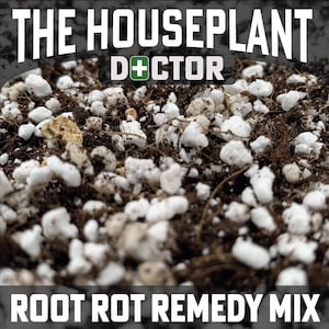 May include: Close-up of a root rot remedy mix for houseplants. The mix contains white perlite and brown soil. The text "THE HOUSEPLANT DOCTOR" is visible at the top of the image. The text "ROOT ROT REMEDY MIX" is visible at the bottom of the image.