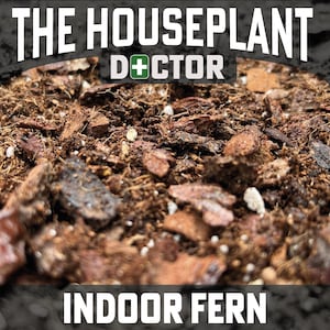 May include: Close-up of brown soil with small pieces of bark. The text "THE HOUSEPLANT DOCTOR" is at the top of the image and "INDOOR FERN" is at the bottom.