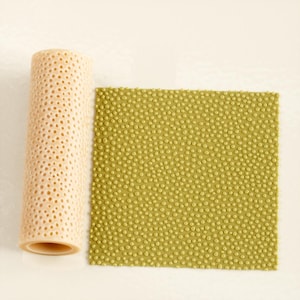 Può includere: Un materiale beige strutturato arrotolato con numerosi piccoli fori accanto a un materiale piatto, quadrato, verde oliva strutturato con piccoli punti in rilievo. I materiali sono su sfondo bianco.