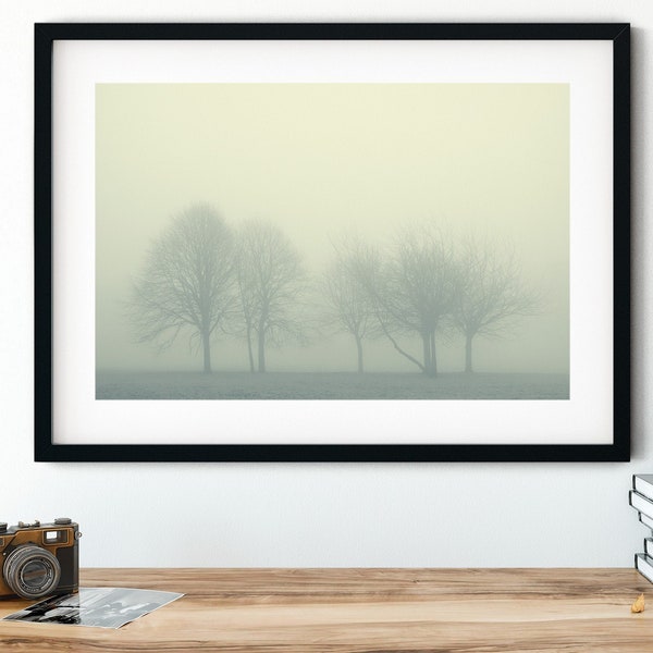 Foggy Trees Print, Scottish Landscape Photography, Ethereal Stretched Canvas Wall Art, Moody Framed Canvas, Rolled Canvas Nature Decor