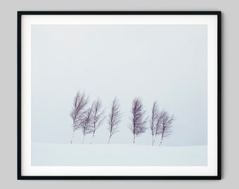 Minimalist Scottish Landscape Photography Print, Pentland Hills Edinburgh, Minimalist Winter Tree Stretched Canvas Ready To Hang