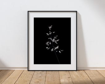 白黒のファインアート写真プリント、ミニマリストの自然壁装飾、大きなオートグラスのポスター