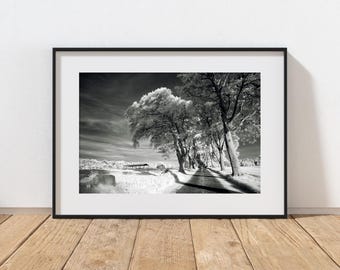 赤外線スコットランド風景写真プリント、白黒ストレッチキャンバスプリント、ファインアート写真フレームキャンバス、すぐに掛けられます