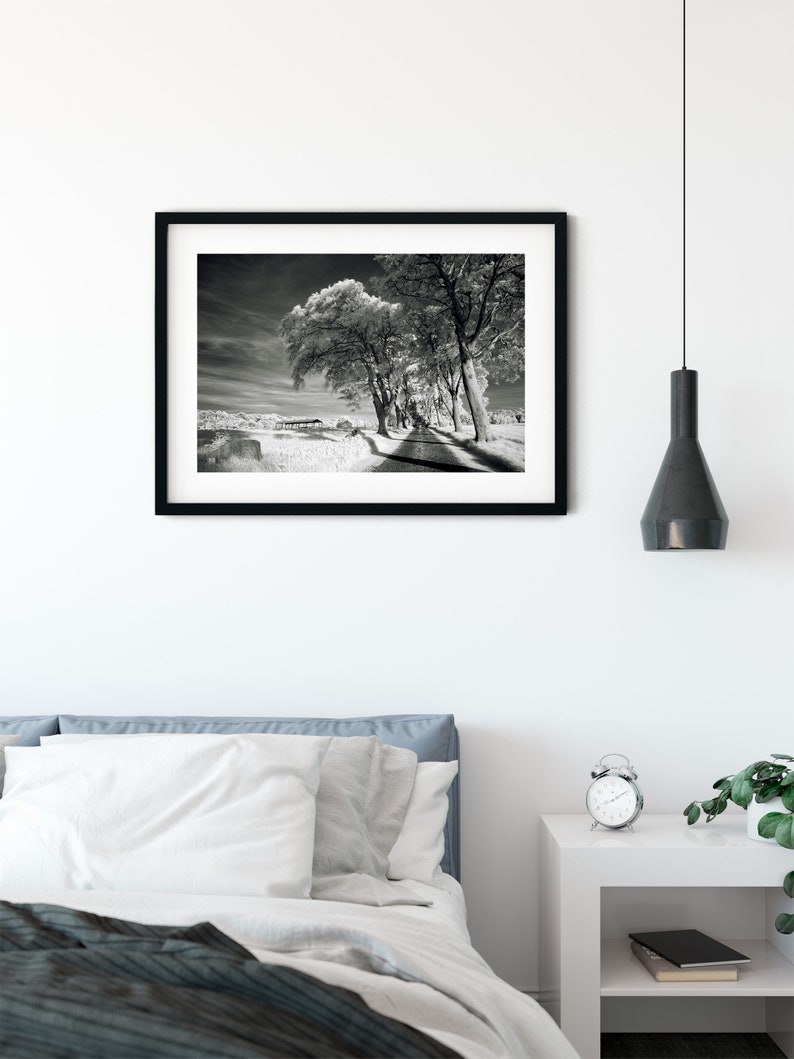 Infrared Scottish Landscape Photography Print, Black and White