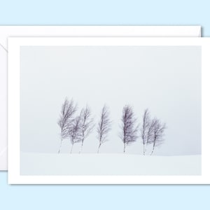 Cartolina fotografica di Natale premium, fotografia di paesaggi invernali scozzesi, blank inside, 5x7 pollici, Pentland Hills Edimburgo, Winter Wonderland