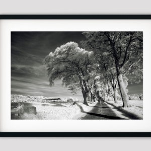 Infrared Scottish Landscape Photography Print, Black and White Stretched Canvas Print, Fine Art Photography Framed Canvas, Ready To Hang