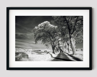 Infrared Scottish Landscape Photography Print, Black and White Stretched Canvas Print, Fine Art Photography Framed Canvas, Ready To Hang