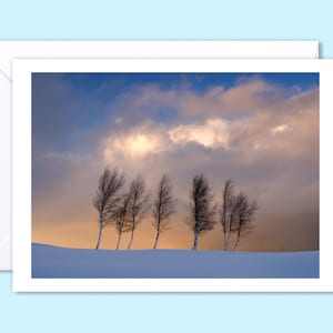 Biglietto fotografico di Natale premium, fotografia di paesaggio dell'albero invernale scozzese, Pentland Hills Edimburgo, interno vuoto, 5x7 pollici