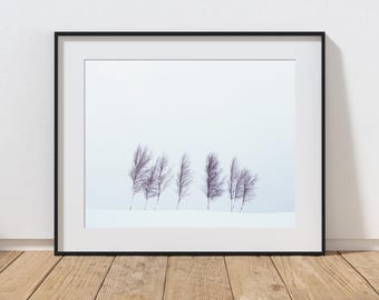 ミニマリストなスコットランドの風景写真プリント、ペントランドヒルズ、エディンバラ、ミニマリストな冬の木々のストレッチキャンバス、すぐに掛けられます