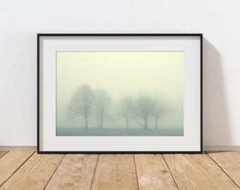 霧のかかった木々のプリント、スコットランドの風景写真、幻想的なストレッチキャンバスウォールアート、雰囲気のあるフレーム付きキャンバス、ロールキャンバスの自然装飾