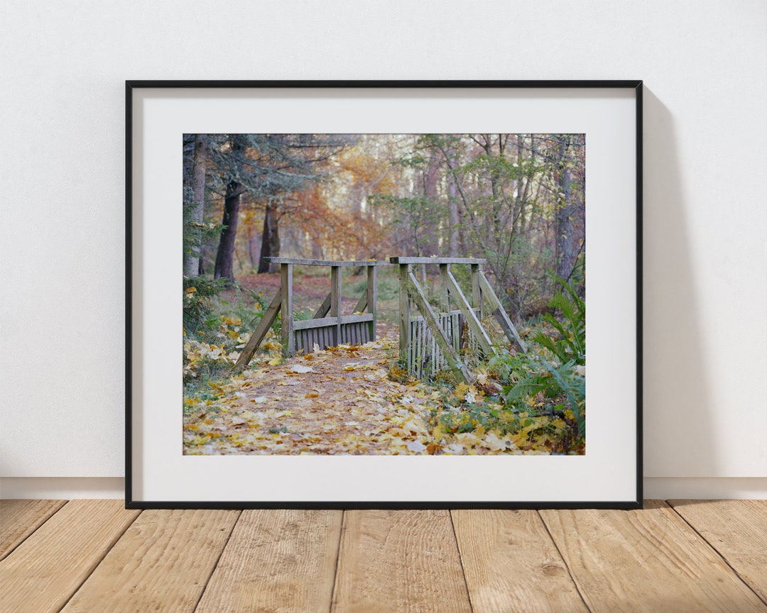 Scottish Landscape Photography Print, Large Autumn Forest Stretched ...