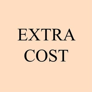 May include: The words "EXTRA COST" are displayed in a bold, black serif font against a light peach background. The text is centered, with "EXTRA" above "COST".