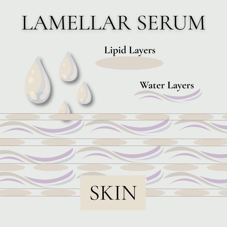 May include: An illustration for a skincare product, featuring the text "LAMELLAR SERUM." The image shows water and lipid layers, with water droplets and the word "SKIN" at the bottom. The design uses a soft, neutral color palette.
