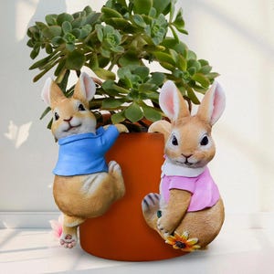 May include: A terracotta plant pot with a green succulent plant. Two rabbit figurines are attached to the pot. One rabbit wears a blue shirt, and the other wears a pink shirt. A yellow flower is at the base of the pot.