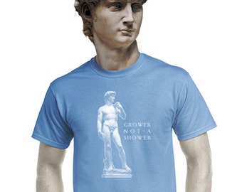 funny history shirt art michelangelo t-shirt historic humor screen print greek shirts grecian designs t shirt foreign humor unisex small med