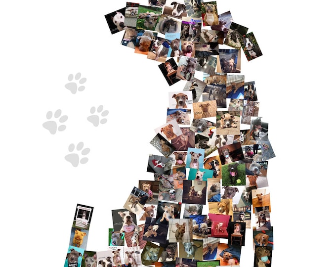 Custom Dog Canvas Mosaic Collage Picture Gift Pet Lover Wall Art 16x20