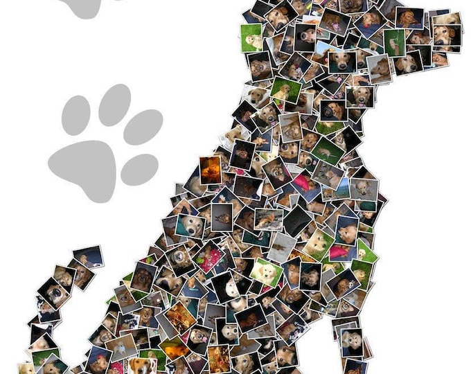 Custom Pet Photo Mosaic Art: Personalized Canvas Collage (16x20)