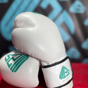 Personalize Handcrafted Boxing Gloves in Original Cowhide Leather - gift for Boxing fan -gift for men - Training Gloves - Stand in the ring