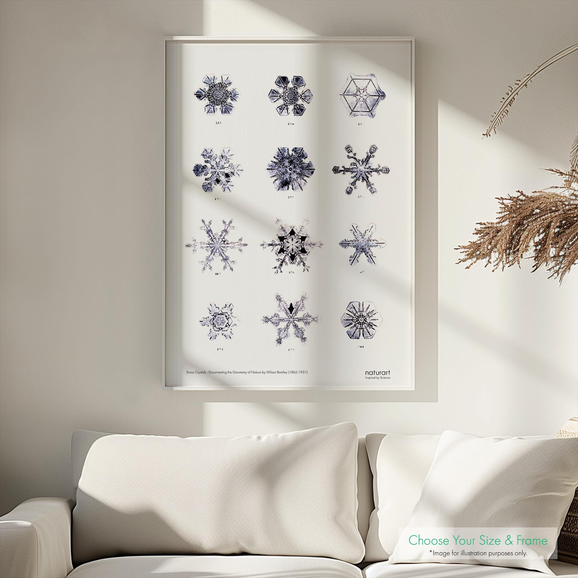 Wilson Bentley Snow Crystals Minimalist Poster White - 5 Sizes, 3 Frames or Frameless, Nature Art
