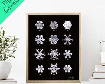 Wilson Bentley Snow Crystals Minimalist Poster Black - Digital Download (11"x14", A2, A1)