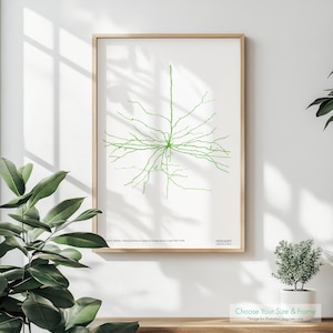 Puede incluir: Una impresión enmarcada de una neurona verde, un tipo de célula nerviosa, con el texto "Mapping the Nervous System by Santiago Ramon y Cajal (1852-1934)" y "naturart" en la parte inferior.