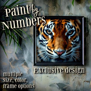 May include: A framed paint-by-numbers kit featuring a close-up of a tiger's face. The tiger has orange and black stripes with white accents. The artwork is in a black frame, with text that reads "Exclusive design" and "Paint by Numbers".