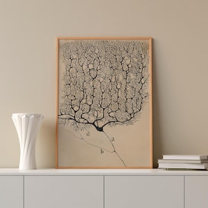 Neuron Painting: Santiago Ramón y Cajal Reproduction (Digital Download)