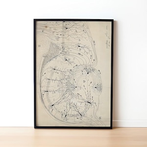 Neuron Anatomy Print: Santiago Ramón y Cajal Reproduction (Digital Download)