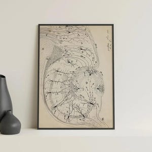Neuron Painting Reproduction: Santiago Ramón y Cajal Canvas Art